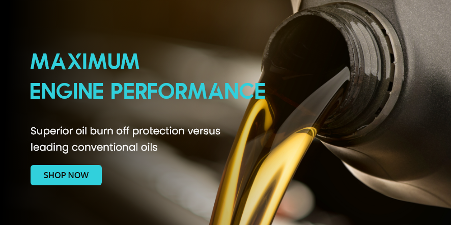 lelong shopper promo