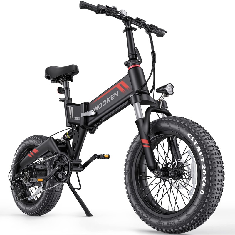 TotGuard Electric Bike,20" x4.0 Fat Tire Electric Bike for Adults,500W 20MPH Foldable Ebike,48V 10Ah Removable Battery, Snow Beach Mountain Electric Bicycle with Dual Shock Absorber, Shimano 7-Speed